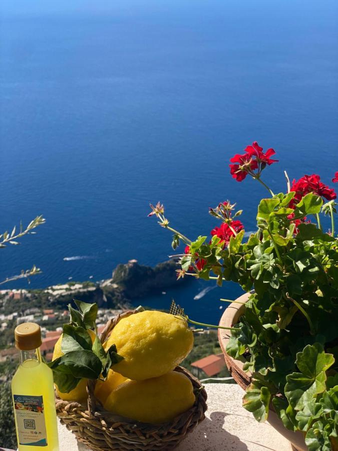 B&B Miramare Agerola Eksteriør billede