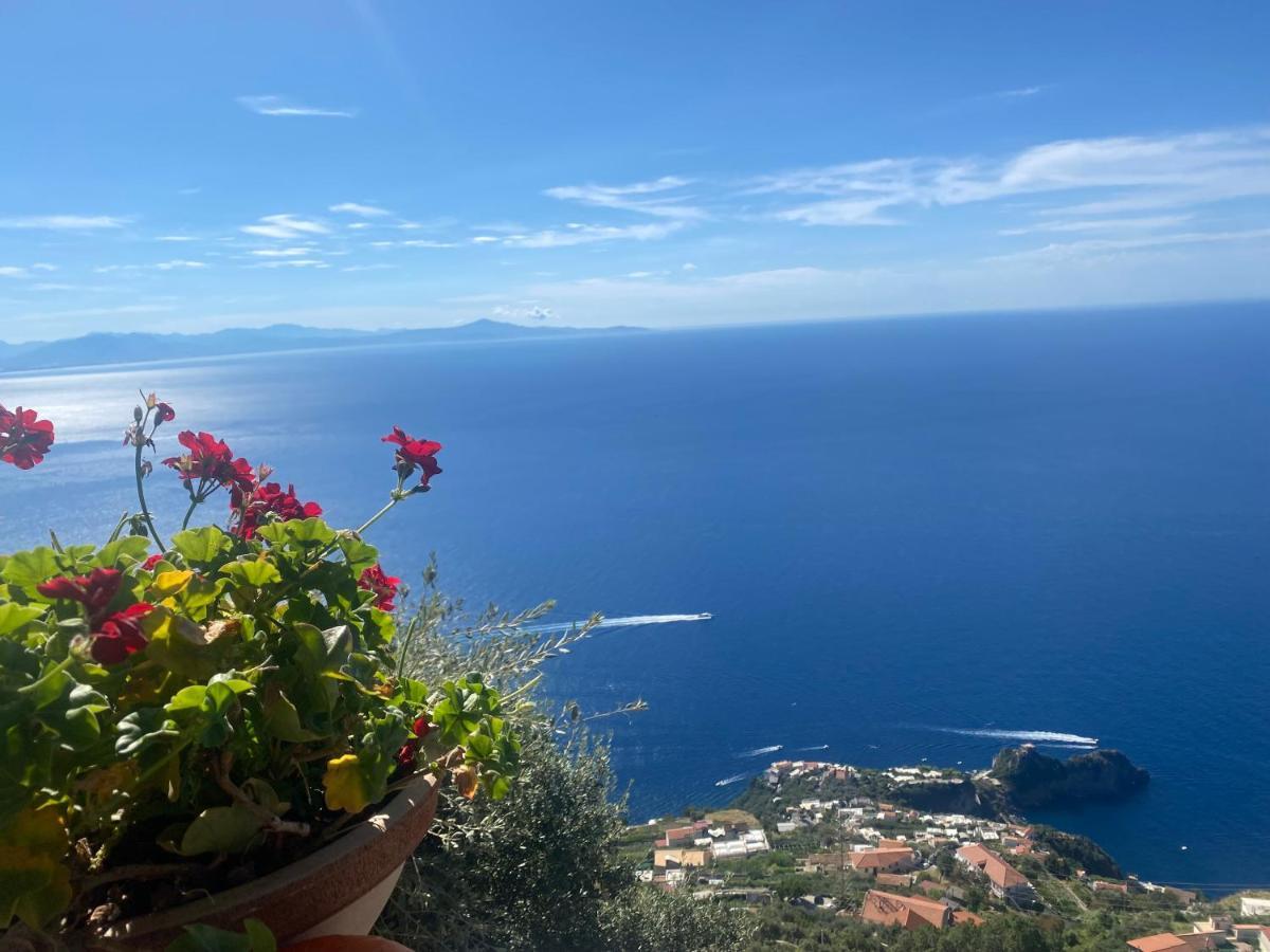 B&B Miramare Agerola Eksteriør billede