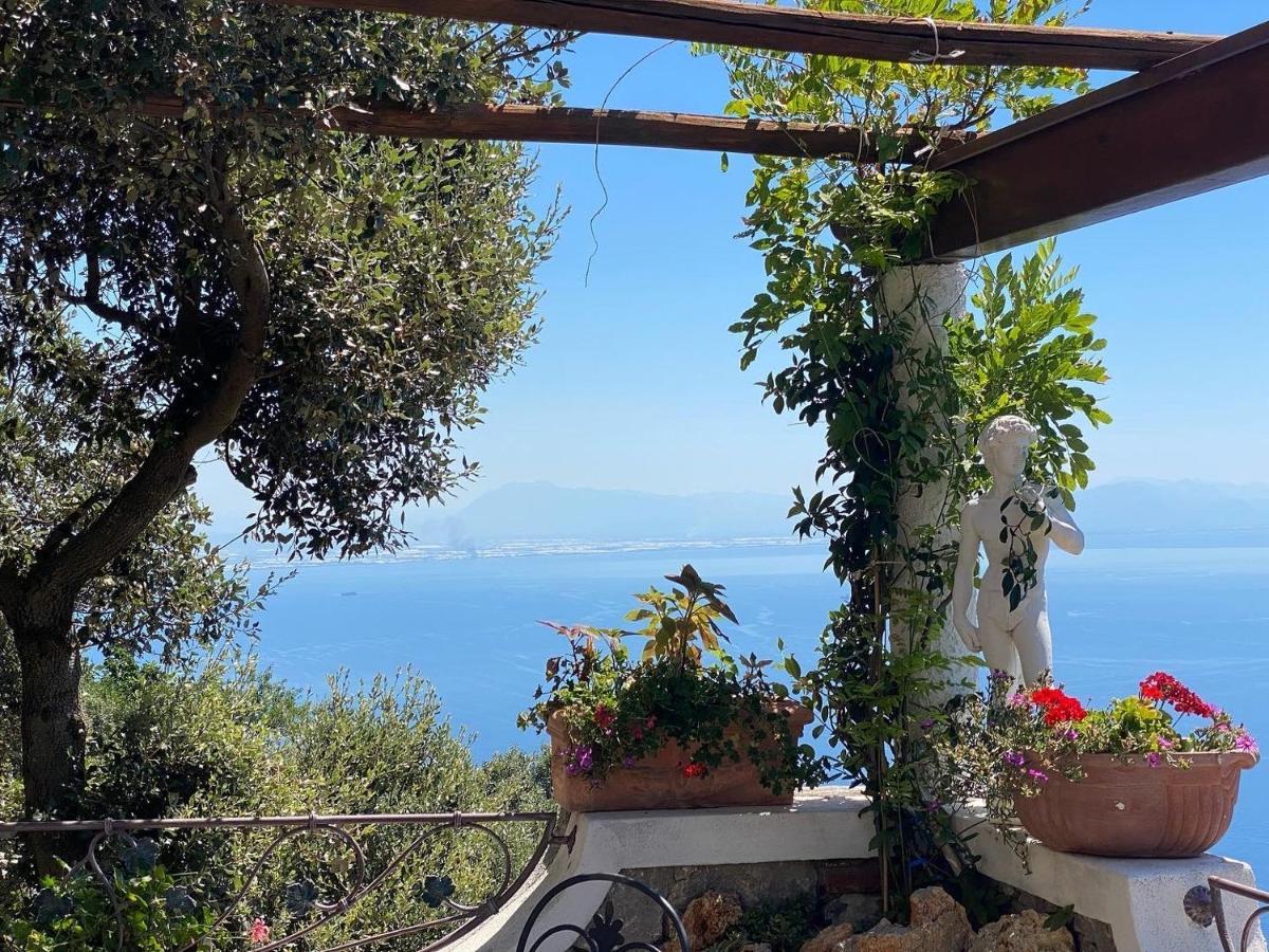 B&B Miramare Agerola Eksteriør billede