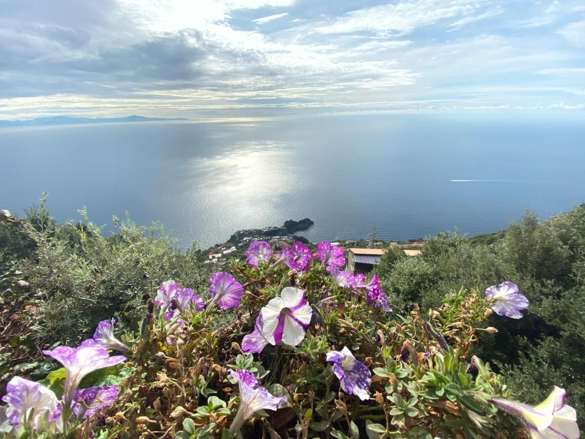 B&B Miramare Agerola Eksteriør billede